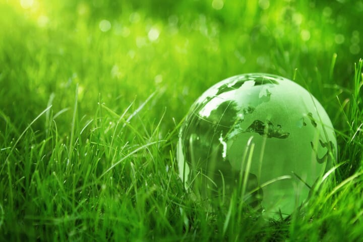 Going Green: How Stampit Is Eco-Friendly