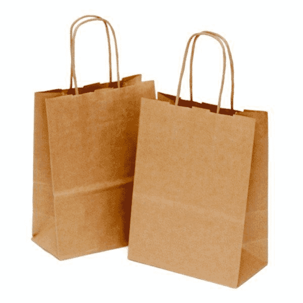 Kraft Brown Paper Bags | 190x80x210